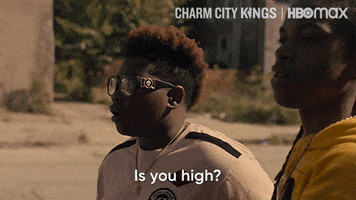 Are You High Excuse Me GIF by HBO Max
