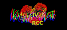 Rcc GIF by Radeburger Carnevals Club