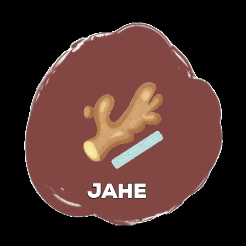 Jahejahejahejahe GIF