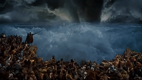 Parting the red sea GIFs - Get the best GIF on GIPHY