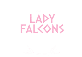 Falcons Sticker by IDOL Cheer
