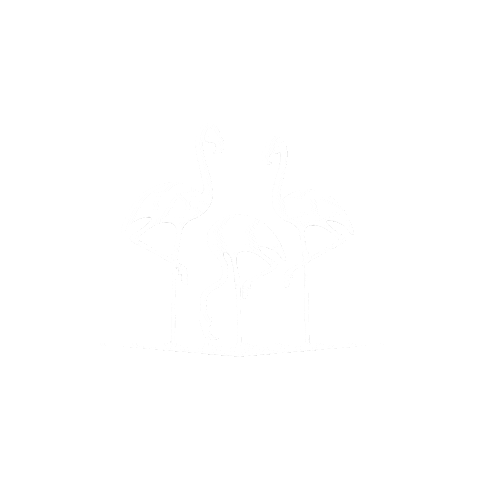 Aceitedeoliva Sticker