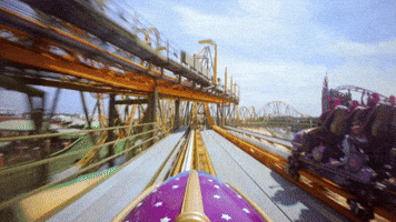 Roller Coaster Stardust GIF by Universal Destinations & Experiences
