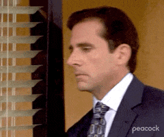 Season 4 Facepalm GIF by The Office
