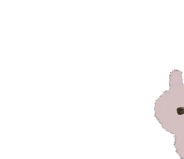Happy うさぎ Sticker For Ios Android Giphy