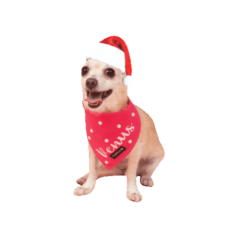 Christmas Sticker