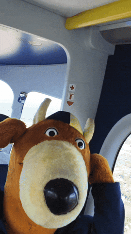 Shocked Blimp GIF by The University of Akron