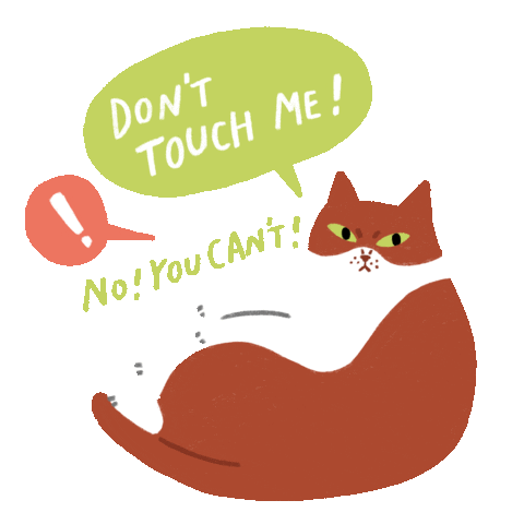 Cat Sticker