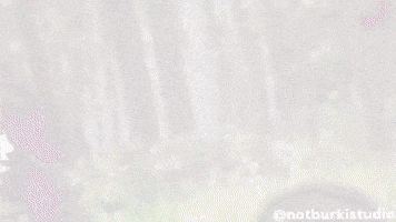 Please Stop Who Is This GIF