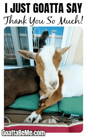 Thank You So Much GIF by Goatta Be Me Goats! Adventures of Pumpkin, Cookie and Java!
