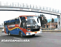 luismiguelsanchez  GIF