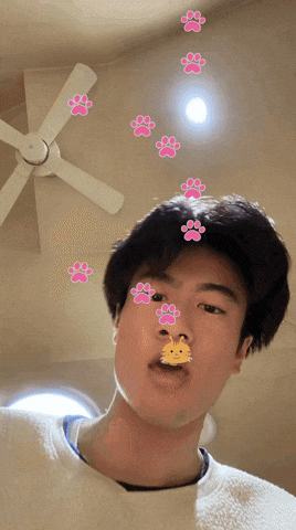 Challenge Filter GIF