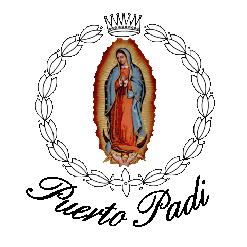 Florence Sticker by Pyzel Surfboards