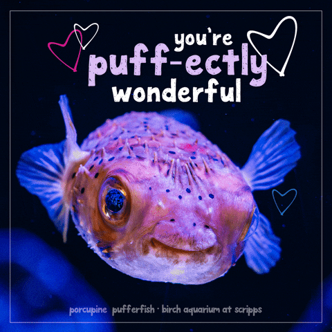 GIF by Birch Aquarium at Scripps
