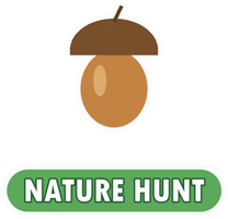 Fall Acorn Sticker by HomeWorks by Precept