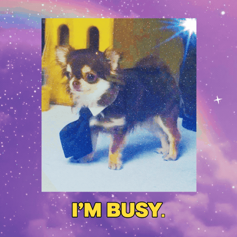 Dog Puppy GIF by Paris Hilton