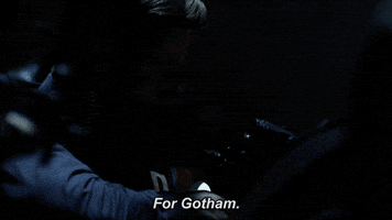 season 5 batman GIF by Fox TV