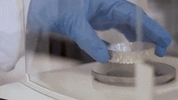 sample lab GIF by UVic Campus Life