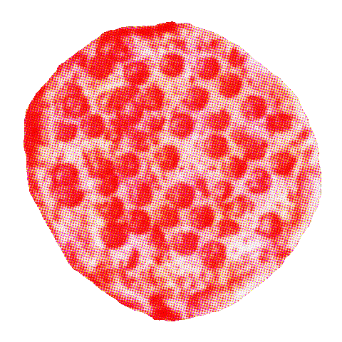 Magic John's Sticker