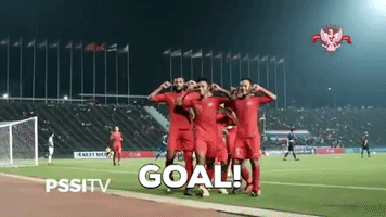 indonesia aff GIF by PSSI