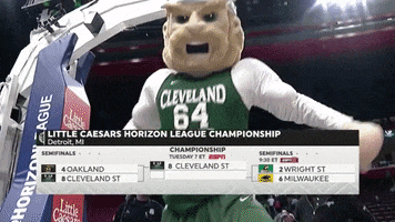basketball dancing GIF by Cleveland State University