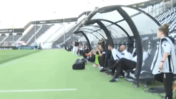 paokfamily GIF by PAOK FC