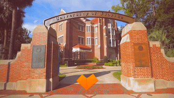 ufcoe GIF by University of Florida College of Education