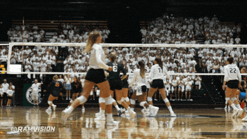 csu rams volleyball GIF by Colorado State Rams