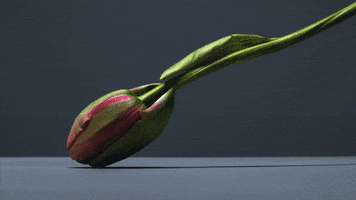 Time Lapse Film GIF by AnOther