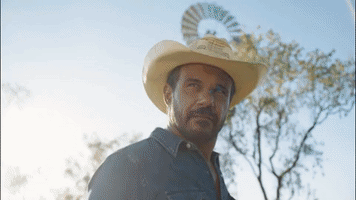 mystery road GIF