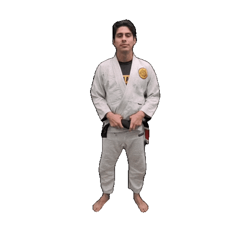 Bjj Jiujitsu Sticker by ghbrownsville