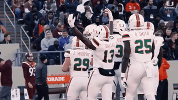 the u canes GIF by Miami Hurricanes