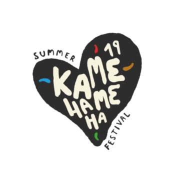 Party Kamehamehafestival GIF