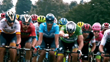 le tour cycling GIF by Le Tour de France