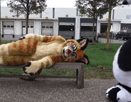 GIF