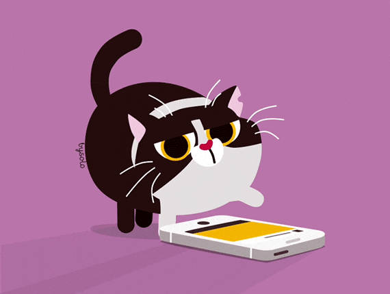 giphy.gif?cid=790b7611cbb2a67272edafacdf