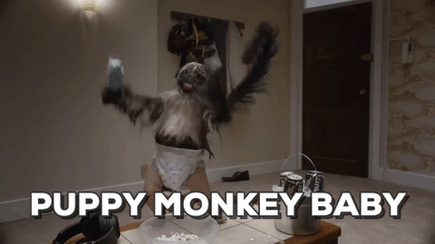 Puppy Monkey Baby Gifs Get The Best Gif On Giphy
