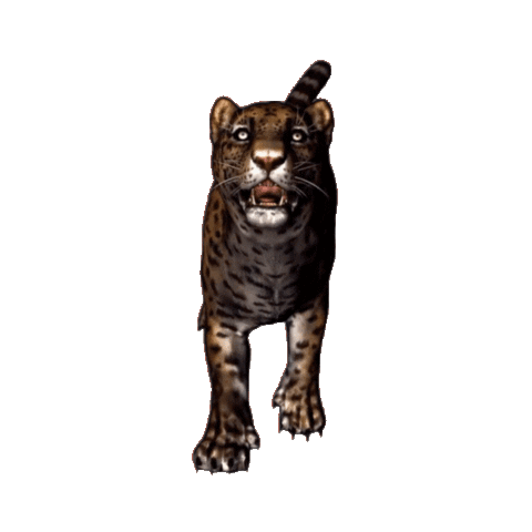 Desarrollo Territorial y Ambiente Sticker