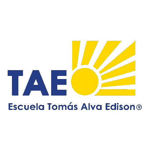Escuela Tomás Alva Edison Sticker