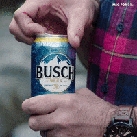 busch beer GIF by Busch