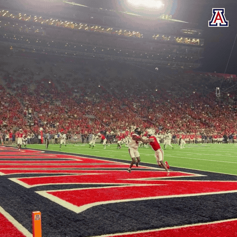 Arizona Wildcats Football GIF by Arizona Athletics