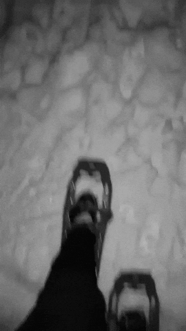 snow snowshoeing GIF by Fort Lewis College