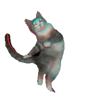 Dance Cat Sticker