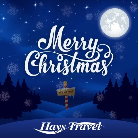 Flying The Grinch GIF by Hays Travel