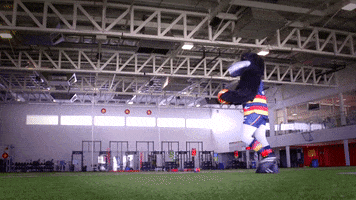 basketball mascot GIF by Adelaide Crows