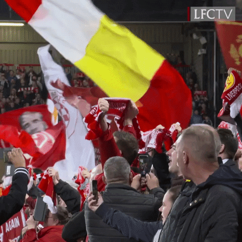 youll never walk alone GIF by Liverpool FC
