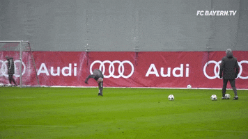 happy football GIF by FC Bayern Munich