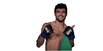 Ufc Mma Sticker by Ricardo Ramos