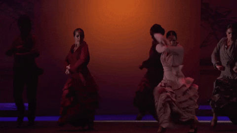 Risultati immagini per flamenco fail  gif
