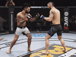 fight gameplay GIF by EA SPORTS UFC